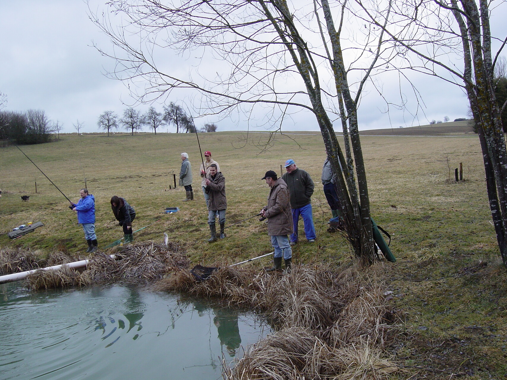 Galeriebild: Bilder vom 14.03.04 011